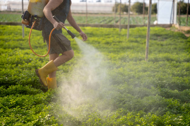 Best Exterminator Services  in Newport, KY