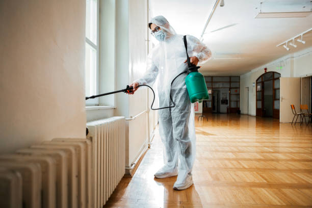 Best Flea Control Services  in Newport, KY